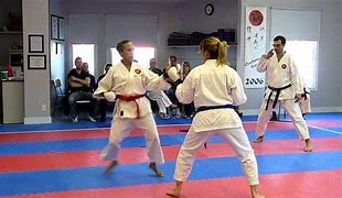 Image result for Karate Sparring