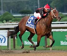 Image result for New York Horse Racing Tracks