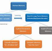 Image result for Long-Term Memory Model