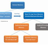 Image result for Willingham Simple Model of Memory