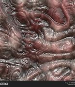 Image result for Dark Alien Texture