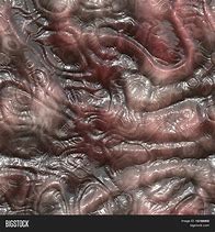 Image result for Alien Skin Texture