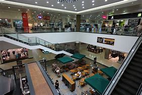 Image result for Escalones De Starbucks