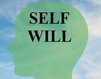 Image result for self-will