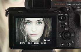 Image result for Sony Mirrorless Camera Line