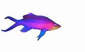 Image result for Humanoid Fish