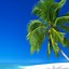 Image result for Beach Pictures iPhone Wallpaper