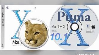 Image result for OS X Puma