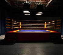 Image result for Boxing Ring Big House