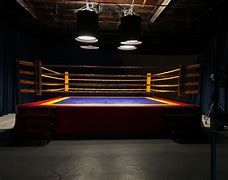 Image result for Boxing Ring Gym