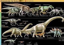Image result for Eras of Dinosaurs