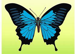 Image result for Vector Butterfly Images. Free