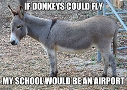 Image result for Pablo Donkey Meme