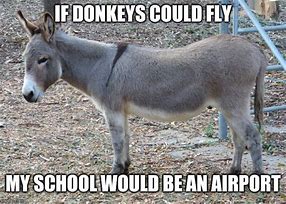 Image result for Donkey as Mustang Meme