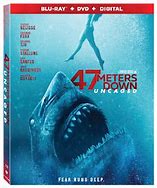 Image result for 40 Meters Down