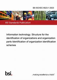 Image result for ISO/IEC 6523