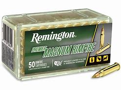 Image result for 17 Ammo