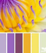 Image result for Twist Up Hair Color Chart