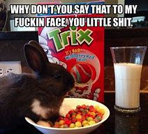 Image result for Silly Rabbit Tricks Are for Kids Meme