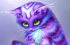 Image result for Colorful Cat Wallpaper