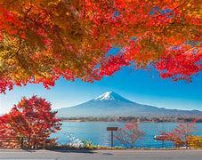 Image result for Japan Vacation