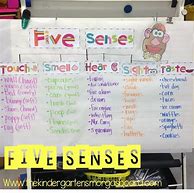 Image result for Five Senses Anchor Chart Kindergarten