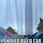 Image result for Car Sales Memes