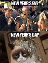 Image result for Girl Cat Meme New Year's