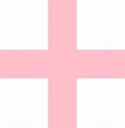 Image result for Pink Plus Sign