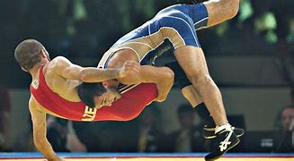 Image result for Simple to People Wrestling