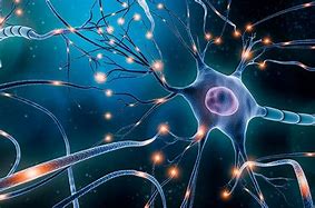 Image result for Brain Neurons Firing Free Image