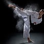 Image result for Martial Arts Training Background
