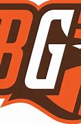 Image result for Bowling Green University Colors