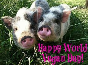 Image result for Vegan Happy Animals
