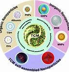 Image result for Nanotechnology in Medical Devices