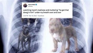 Image result for Sorry Dawg Meme