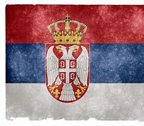 Image result for Belgrade Flag