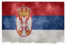 Image result for Russo Serbian Flag