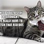 Image result for Cat Boss Meme