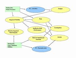 Image result for Concept Map Diabetes Mellitus Type 2