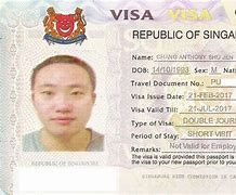 Image result for Singapore Visa Status