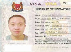 Image result for Singapore Visitor Visa