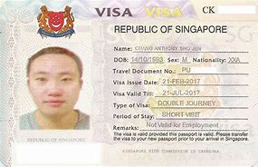 Image result for Singapore Visa Page