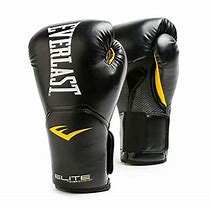 Image result for Everlast 10 oz Boxing Gloves