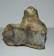 Image result for Petrified Bone with Red M Marrow