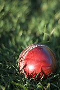 Image result for Test Cricket Ball