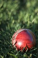Image result for Cricket Ball Bowl