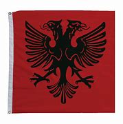 Image result for Albanian Flag T-Shirt