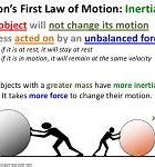 Image result for Newton's First Law of Motion Meme