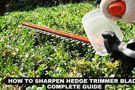Image result for Hedge Trimmer Sharpening Tool